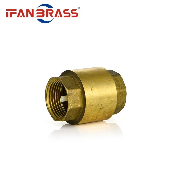 1 brass check valve